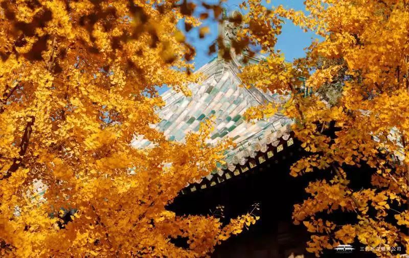 繽紛三孔 | 多彩秋日游，享受視覺盛宴！一起“趣”三孔吧