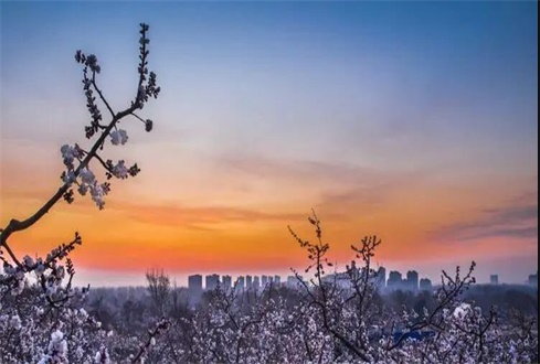 關(guān)于中央、省、市出臺(tái)的促進(jìn)企業(yè)復(fù)工復(fù)產(chǎn) 政策及主要內(nèi)容解讀