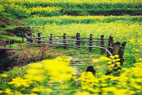 扎實(shí)做好“六穩(wěn)”“六?！惫ぷ?促進(jìn)經(jīng)濟(jì)秩序加快恢復(fù)轉(zhuǎn)型發(fā)展加力提速