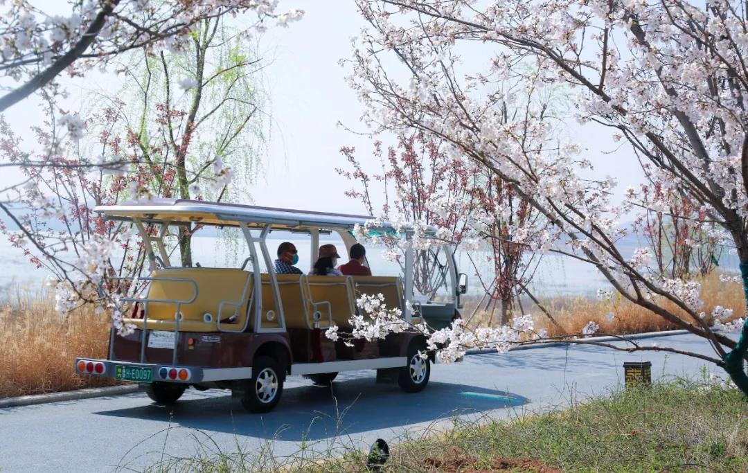 孔子文旅集團(tuán)多家景區(qū)“網(wǎng)絡(luò)傳播影響力指數(shù)”靠前 實現(xiàn)開門紅