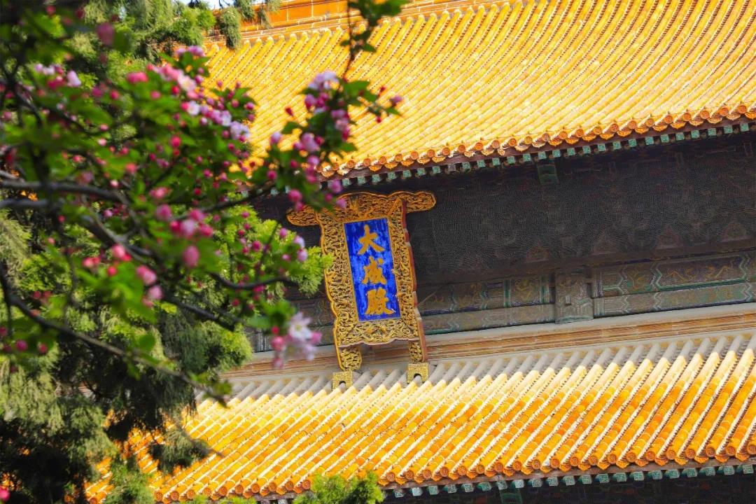 五一出游攻略 | 孔子文旅集團(tuán)這些景區(qū)歡迎打卡！